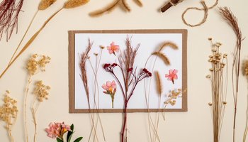 Das Foto zeigt bunte, gepresste Blumen auf einem beigen Blatt Papier.