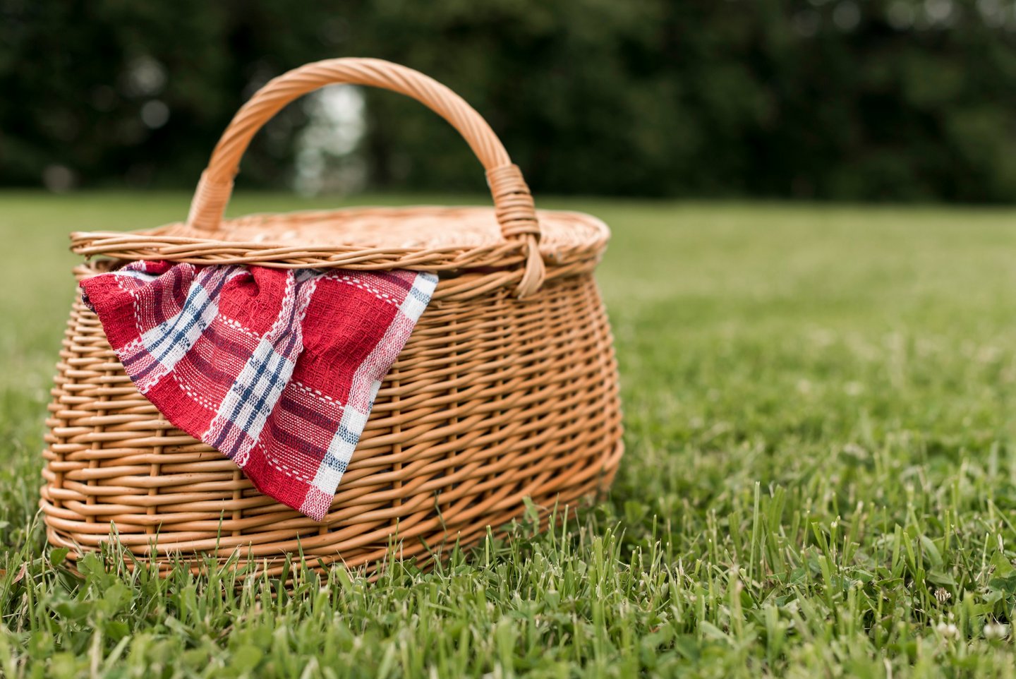 Das Foto zeigt einen Picknick-Korb auf dem Gras.