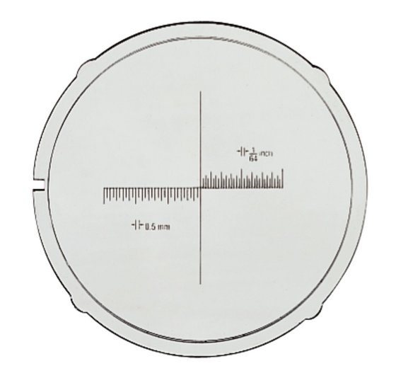 Loupe éclairante