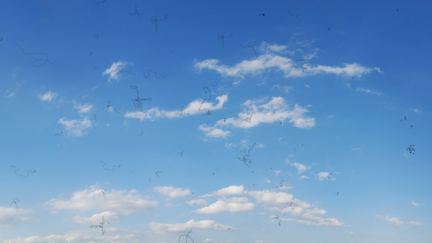 Das Foto zeigt die Wahrnehmung von Floaten mit dem Auge bei blauem Himmel.