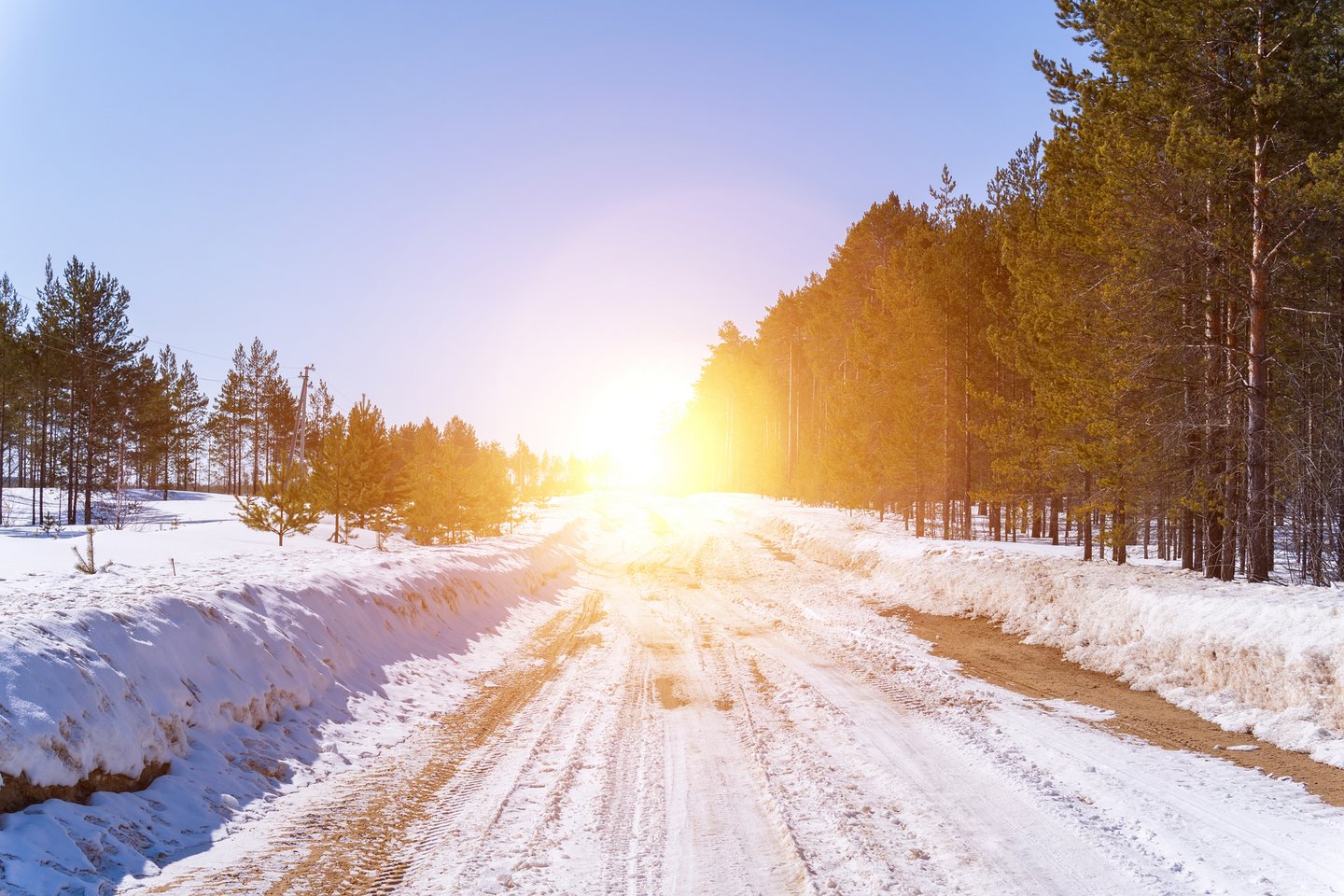 Das Bild zeigt eine verschneite Landschaft mit Bäumen an einem sonnigen Tag.